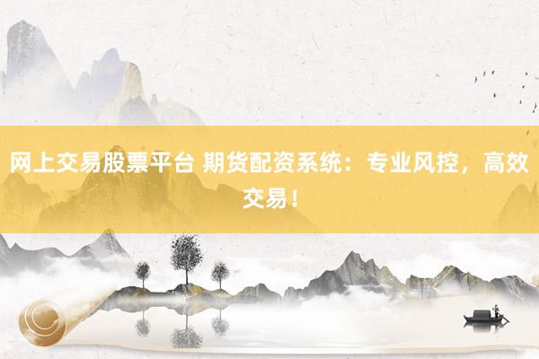 网上交易股票平台 期货配资系统：专业风控，高效交易！