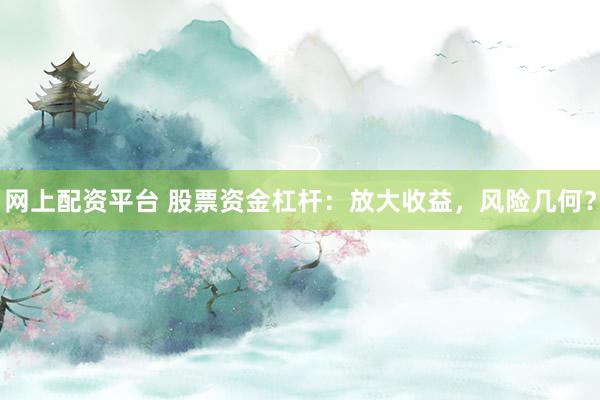 网上配资平台 股票资金杠杆：放大收益，风险几何？