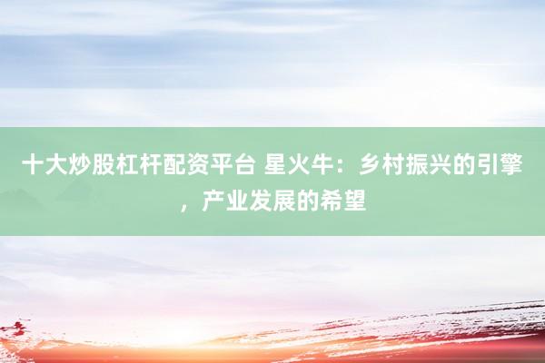 十大炒股杠杆配资平台 星火牛：乡村振兴的引擎，产业发展的希望