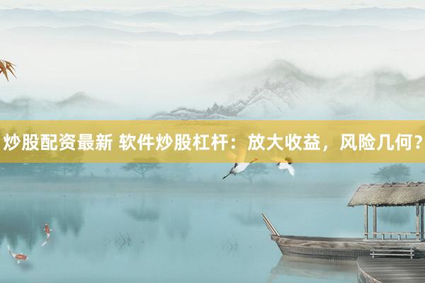 炒股配资最新 软件炒股杠杆：放大收益，风险几何？