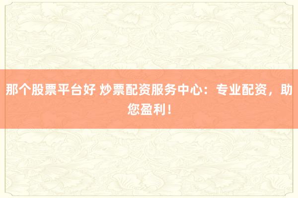 那个股票平台好 炒票配资服务中心:专业配资,助您盈利!