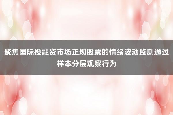 聚焦国际投融资市场正规股票的情绪波动监测通过样本分层观察行为