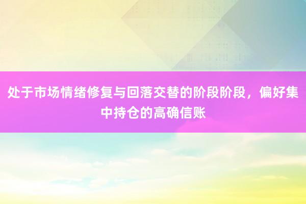 处于市场情绪修复与回落交替的阶段阶段，偏好集中持仓的高确信账