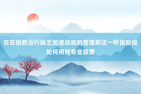 在在指数运行缺乏加速动能的整理期这一阶段阶段如何用好专业股票